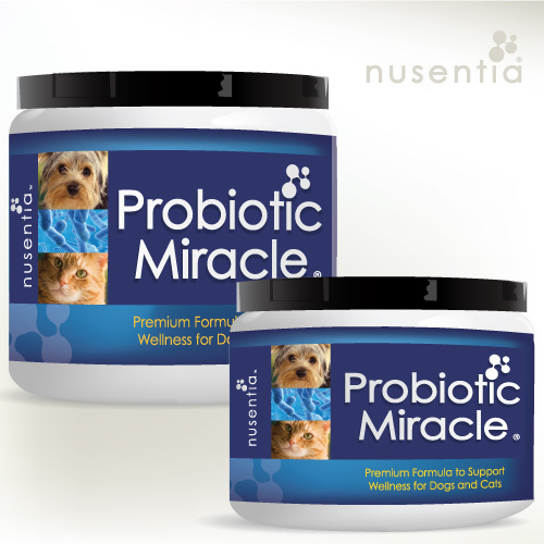 Probiotic Miracle